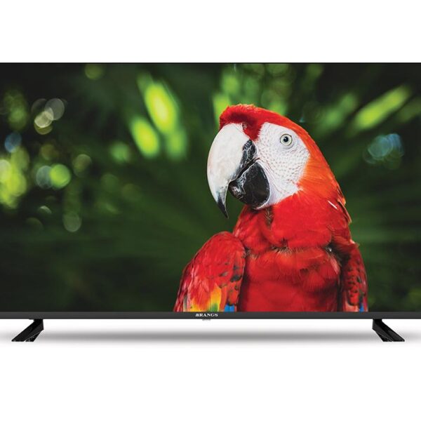 Rangs 32 inch HD Frameless Android LED TV